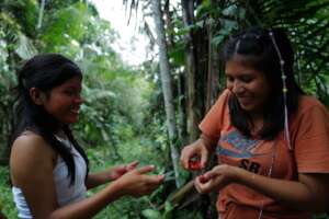 Girls students from Amazonas