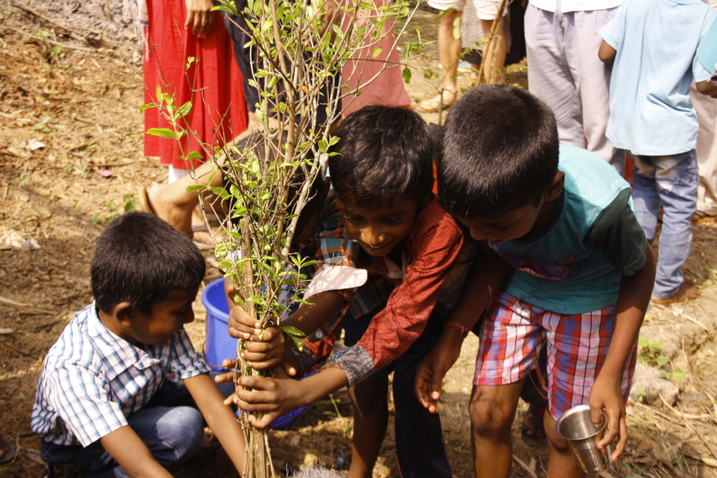 inauguration tree planting