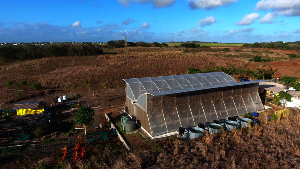 Support 15 local food entrepreneurs & teams