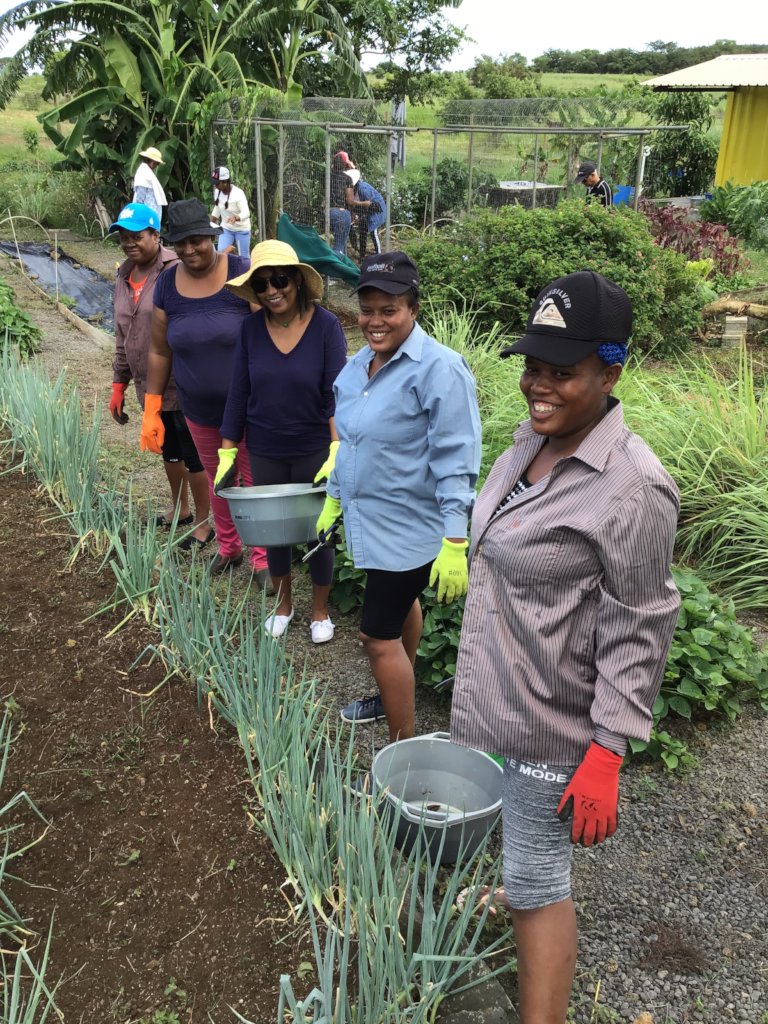 Support 15 local food entrepreneurs & teams