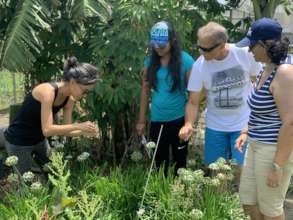 working with plants