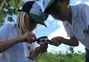Learning to observe