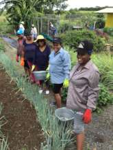 Women Agripreneurs 2