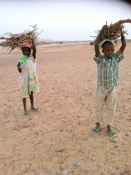 Children Collecting Firewood