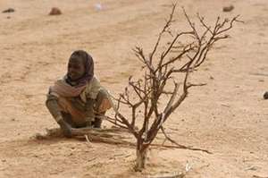 Vulnerability of Solitary Firewood Collection