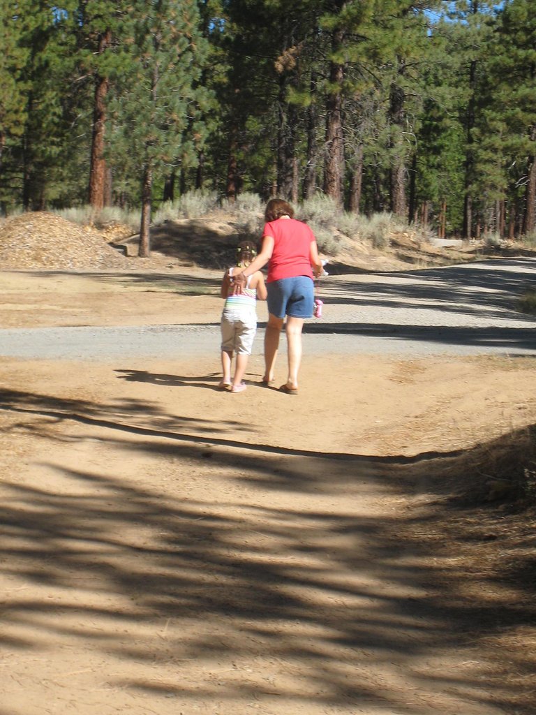 Wonder: A "first" for kids in foster care