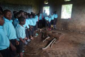 Improved cook stove built by Wildlife Club