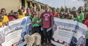 World Elephant Day celebration