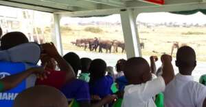 Students watching wild elephants