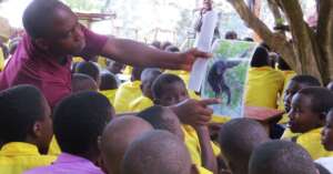 Kids view photo of chimpanzee snare injuries.