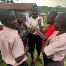 Students extract honey with chimpanzee tools.