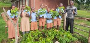 Students with their trees ready for transplanting.