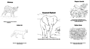 Coloring Books Designed by Laidlaw Students