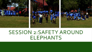 Everyone Learning How to Stay Safe