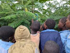 Students take photos of plants used by bees