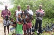 Wet Land Mangrove Conservation