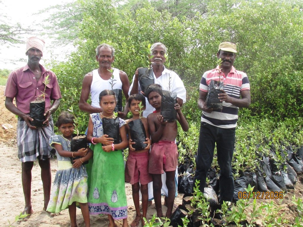 Wet Land Mangrove Conservation