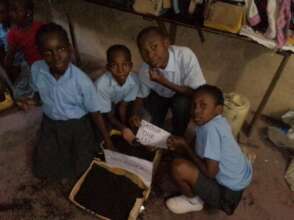 Pupils doing their grade 6 project