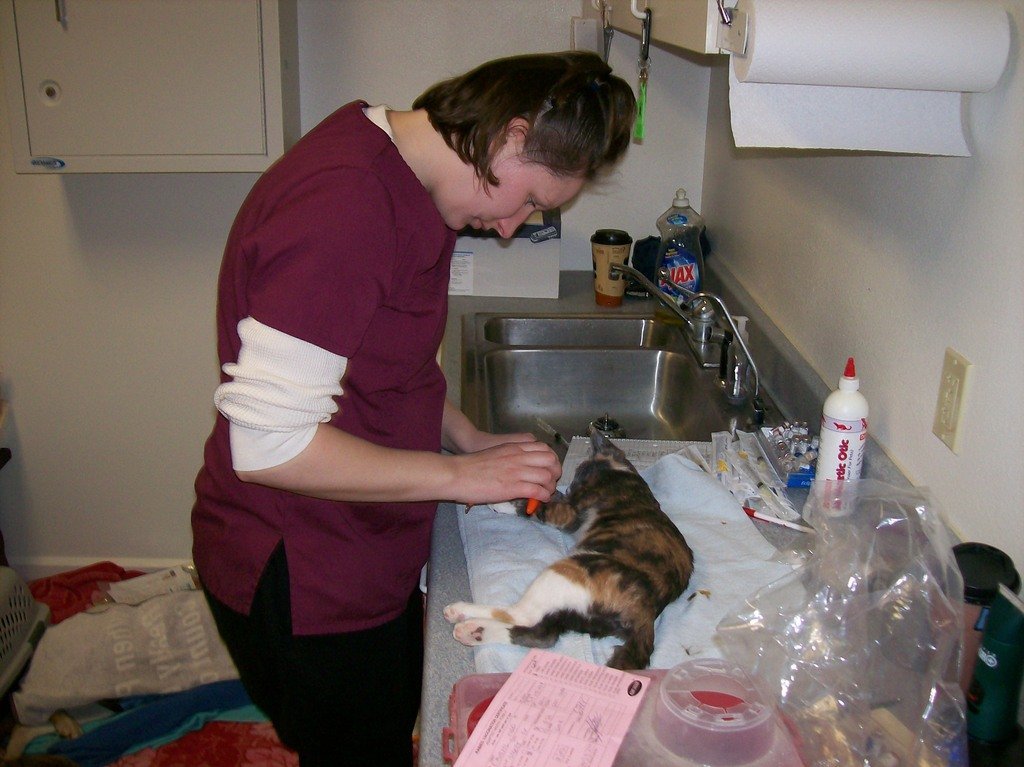 Christen Karniski: Help Homeless Animals