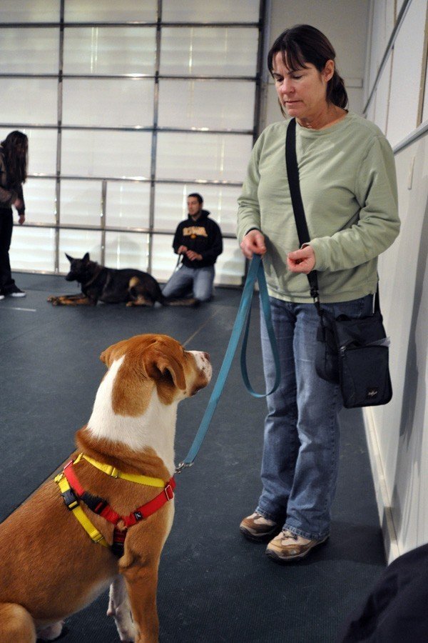 Christen Karniski: Help Homeless Animals