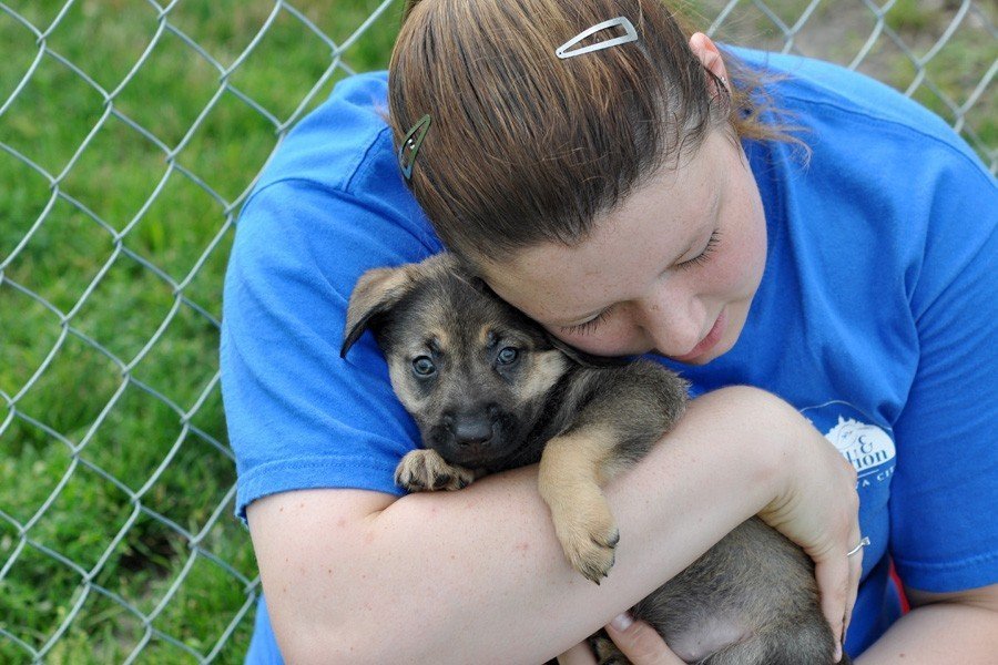 Christen Karniski: Help Homeless Animals