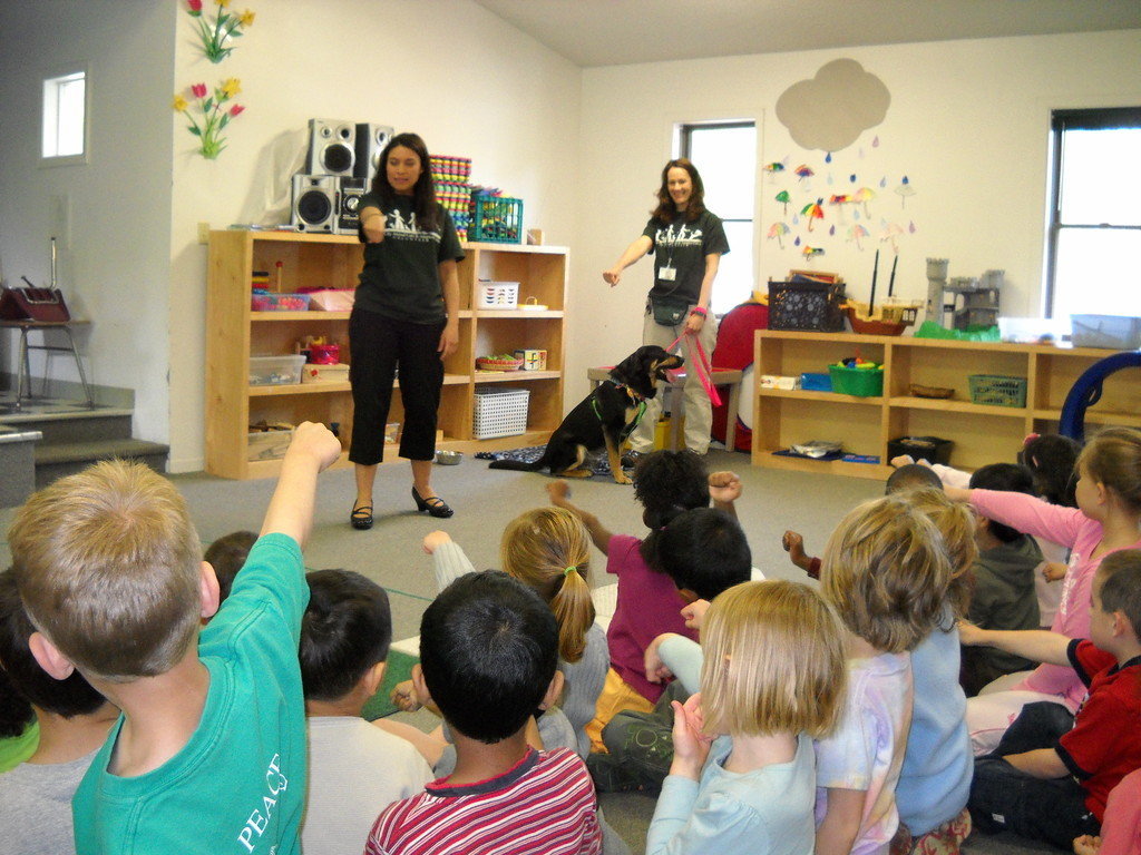 Christen Karniski: Help Homeless Animals