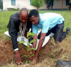 TREE FOR THE FUTURE