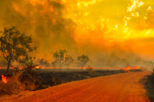 Australia Wildfires Relief Fund