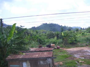 Community in a farming area