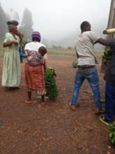 Amother in muyunbu receiving matooke