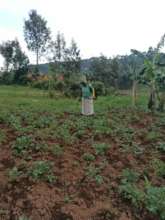women spraying her gardens