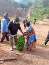 OLD LADY PICKING FOOD RELIEF