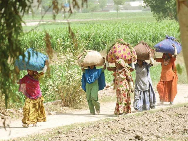 LRBT Eye Hospital (New) -Rahim Yar Khan
