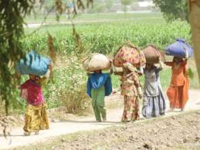 Glimpse of Rahim Yar Khan