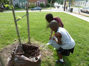 Planting trees