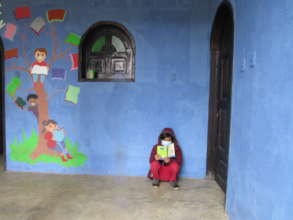 Guatemala distance learning + capacity building