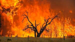 Australia Bushfire Relief: Nappies for Children