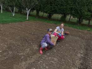 Family kitchen gardening