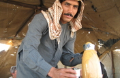 Help 24 families build an ecotourism hub in Jordan