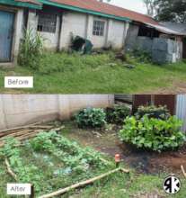 Sneak peak from the Veggie Patch