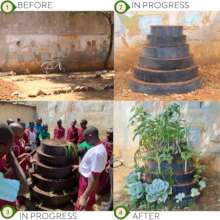 Conical Garden