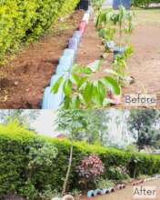 Elimu De Ark's Garden