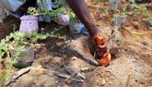 Digging Holes
