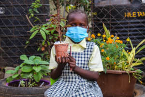 Taking back seedlings to school