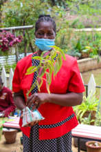 Even Teacher Frida has a seedling to look after...