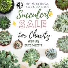 Our first Succulent Sale in Kisumu!