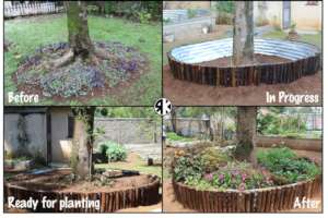 Transformation around the Garden Tree