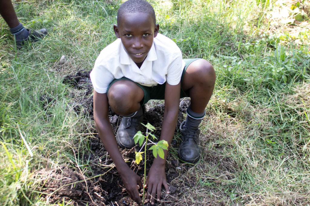 Climate Action in Education: Planting 10,000 Trees