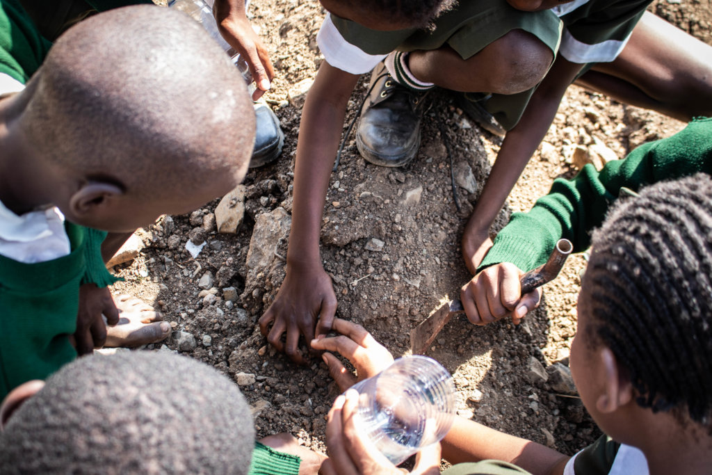 Climate Action in Education: Planting 10,000 Trees