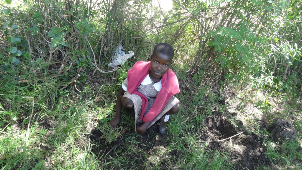 Climate Action in Education: Planting 10,000 Trees